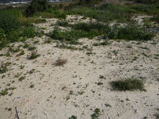 Terreno en venta en Benitachell/Poble Nou de Benitatxell (el)