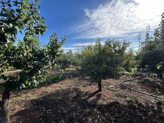Casa en venta en Montsià de Mar en Alcanar