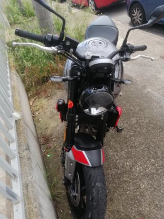 Triumph Trident 660 Gris/Rojo