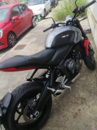 Triumph Trident 660 Gris/Rojo