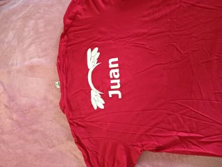 Camiseta HOLY Talla M Roja Dibujo Gavilanes Power