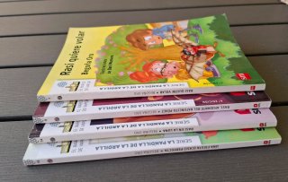 Libro lectura infantil-Juvenil