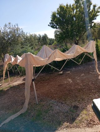 Gazebo pieghevole