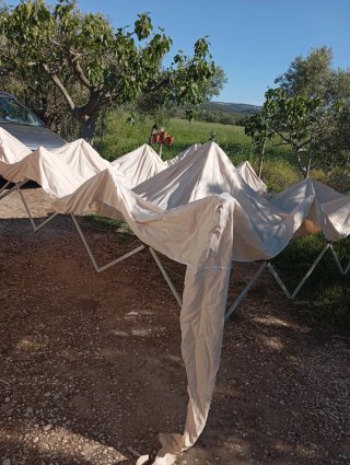 Gazebo pieghevole
