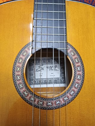 Guitarra Española Sonora