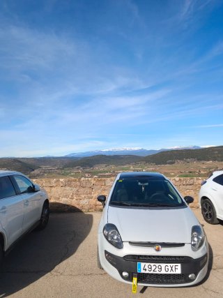 FIAT Punto 2010