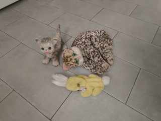 Lote de 3 peluches: gato, leopardo y conejo 1970