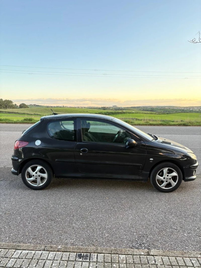 Peugeot 206 Xs 1.6 16v - foto 1