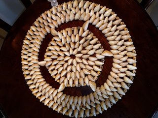 Protegemanteles de conchas marinas