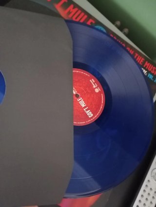 Gov't Mule Doble LP En Vivo