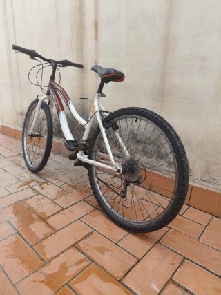 Bicicleta de montaña TOFBIKE