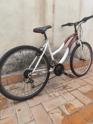 Bicicleta de montaña TOFBIKE