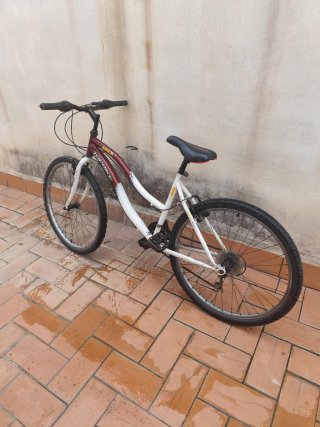 Bicicleta de montaña TOFBIKE