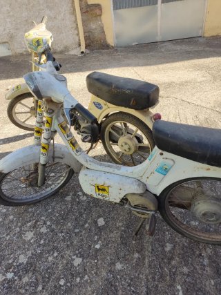 Vespa Scooter Antigua