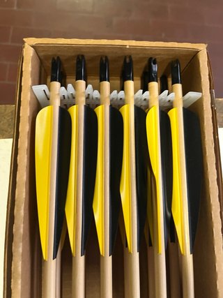 Set 12 Frecce True Flight Cedar