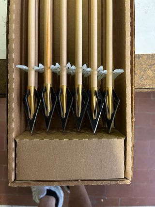 Set 12 Frecce True Flight Cedar