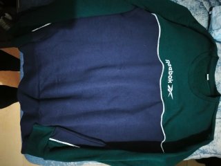 Sudadera Reebok Colorblock Azul y Verde