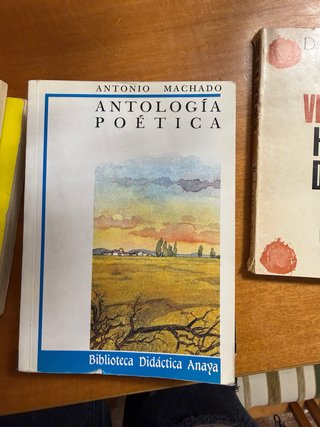 Antologia poetica antonio machado