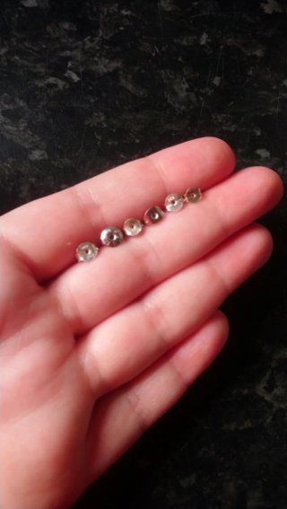 Pendientes ositos