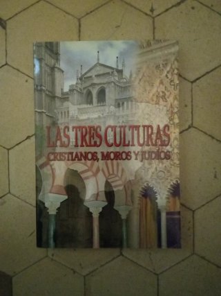 Historia y novela histórica II