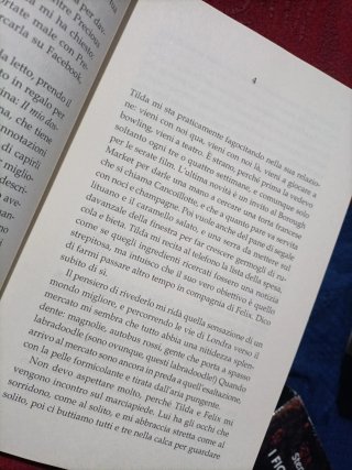 La Gemella sconosciuta