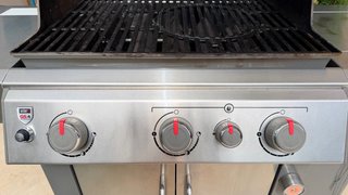 Barbacoa Weber Genesis II Gris