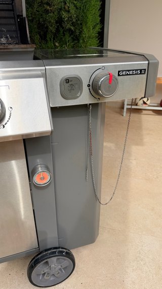 Barbacoa Weber Genesis II Gris