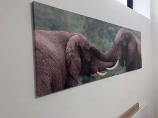 Cuadro de elefantes