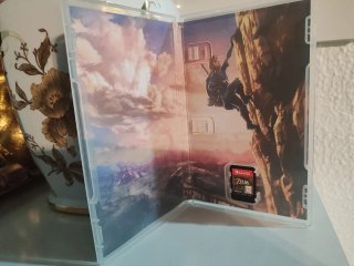 The Legend of Zelda: Breath of the Wild Switch