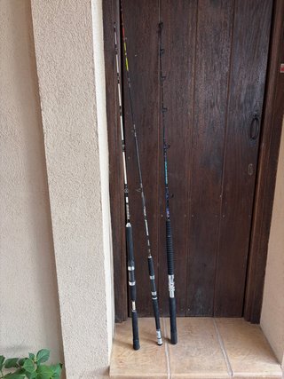 Cañas de pescar