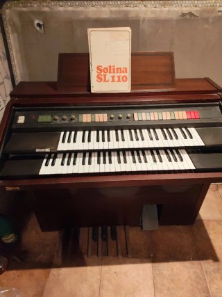 Órgano Solina SL 110