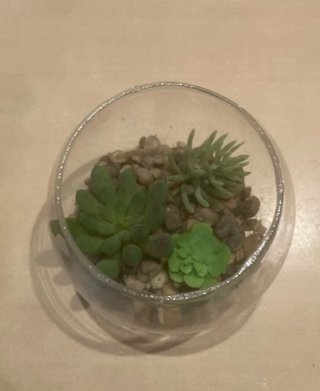Piante finte in vaso di vetro