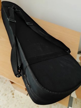 Violín con funda y arco y almohadilla