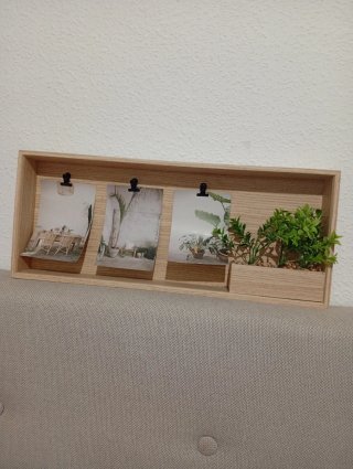 Marco de fotos y plantas decorativo