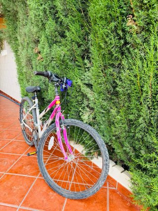 Bicicleta Montaña Rosa y Blanca