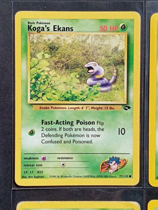 Carte dei Pokémon - Gym Challenge