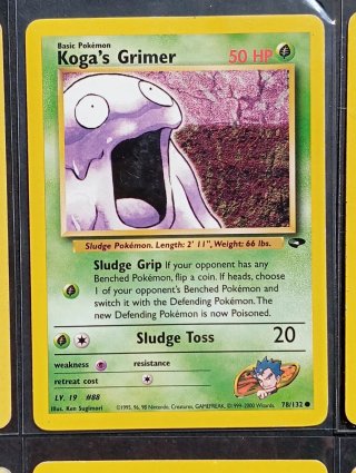 Carte dei Pokémon - Gym Challenge