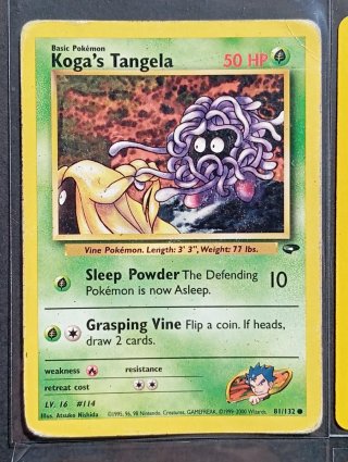 Carte dei Pokémon - Gym Challenge
