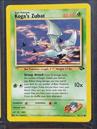 Carte dei Pokémon - Gym Challenge