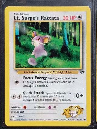 Carte dei Pokémon - Gym Challenge