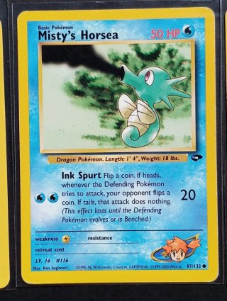 Carte dei Pokémon - Gym Challenge