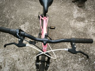 Bicicleta niña 20 rosa