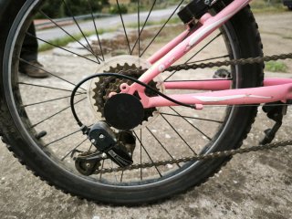 Bicicleta niña 20 rosa
