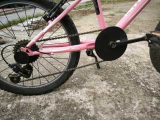 Bicicleta niña 20 rosa