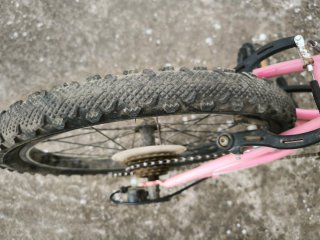 Bicicleta niña 20 rosa