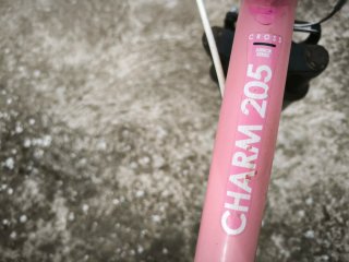 Bicicleta niña 20 rosa