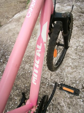 Bicicleta niña 20 rosa