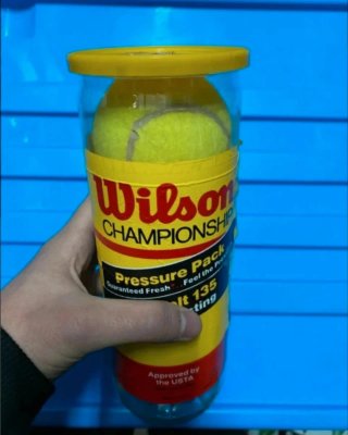 Dos botes de pelotas de tenis