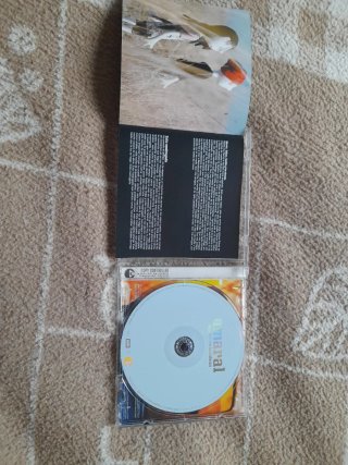 CD Amaral - Pajaros en la Cabeza