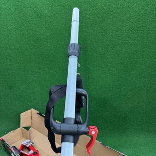Einhell Sierra de pértiga a batería